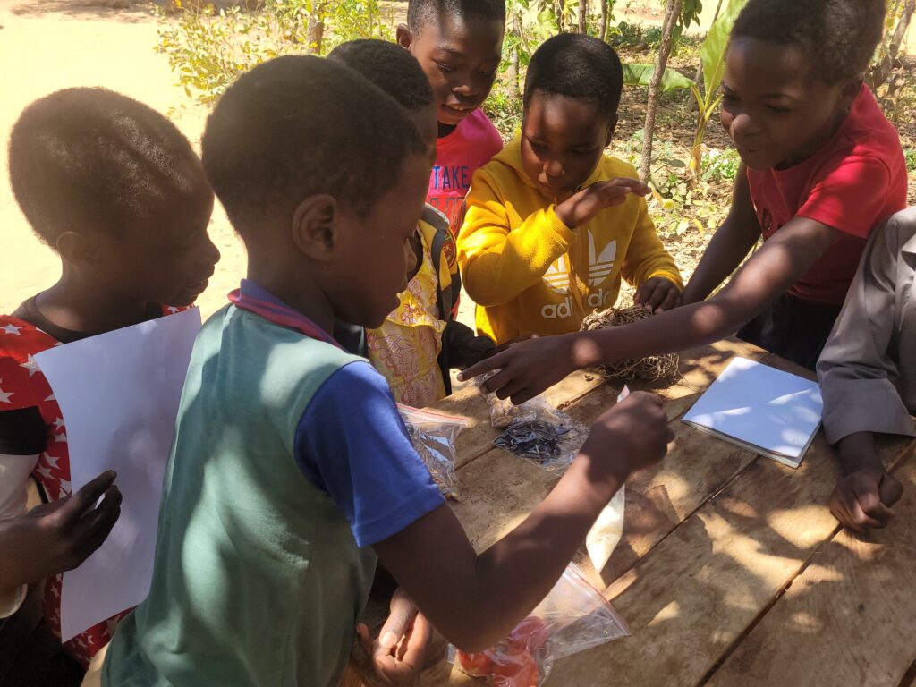 Six children are standing around a table. On the table, and in some of their hands are food items that have been placed in small sealable plastics. One of the children is pointing out one food item and they seem to be engaged in a conversation.