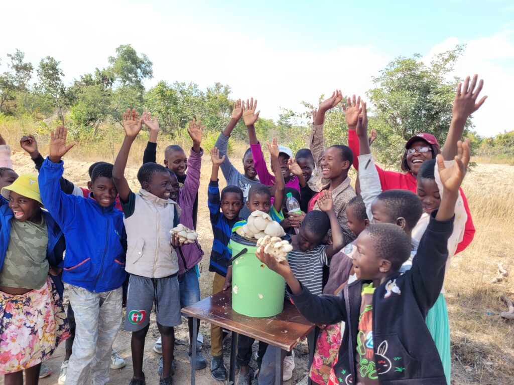 The picture shows the children raising their hands, standing around a table where the mushroom bucket has been placed along with some harvested mushroom. Some of the children are holding the mushrooms in their hands.